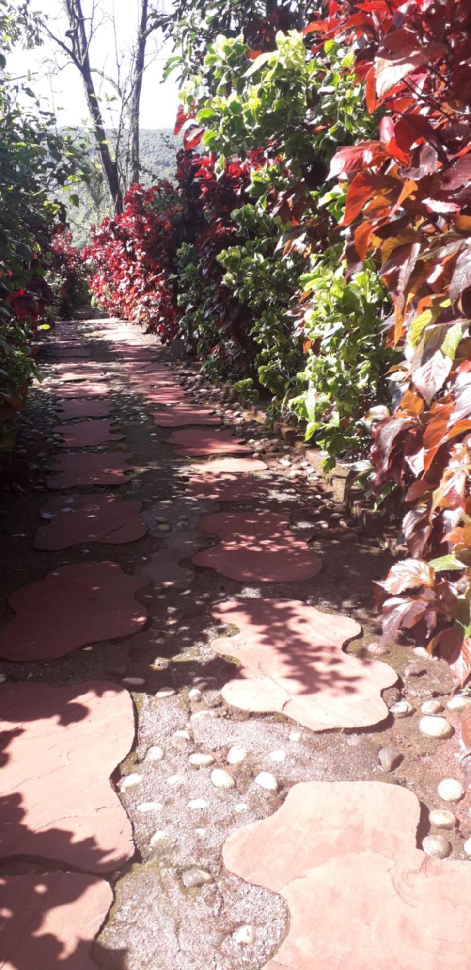Villa Strawberry Country à Mahābaleshwar Chambre photo